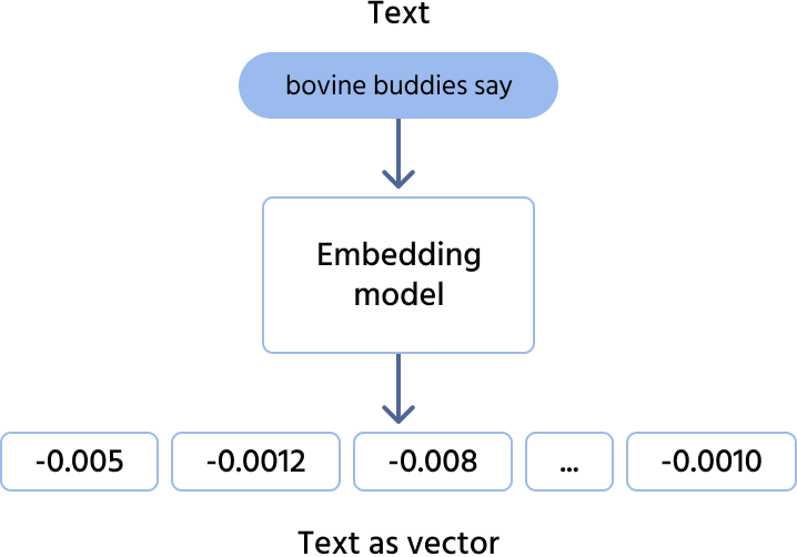 Embedding Model