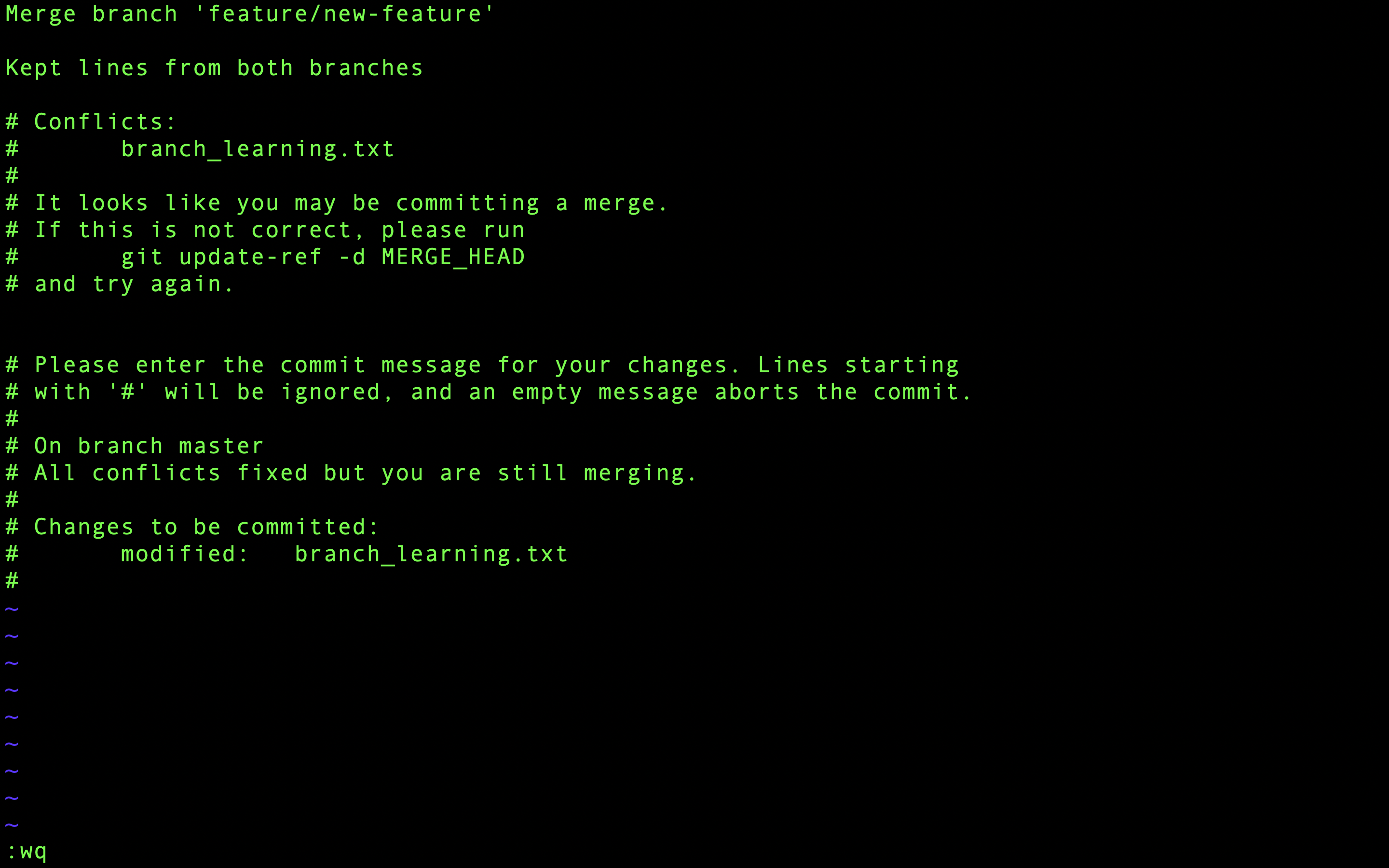 Salvando a mensagem modificada e saindo do Vim