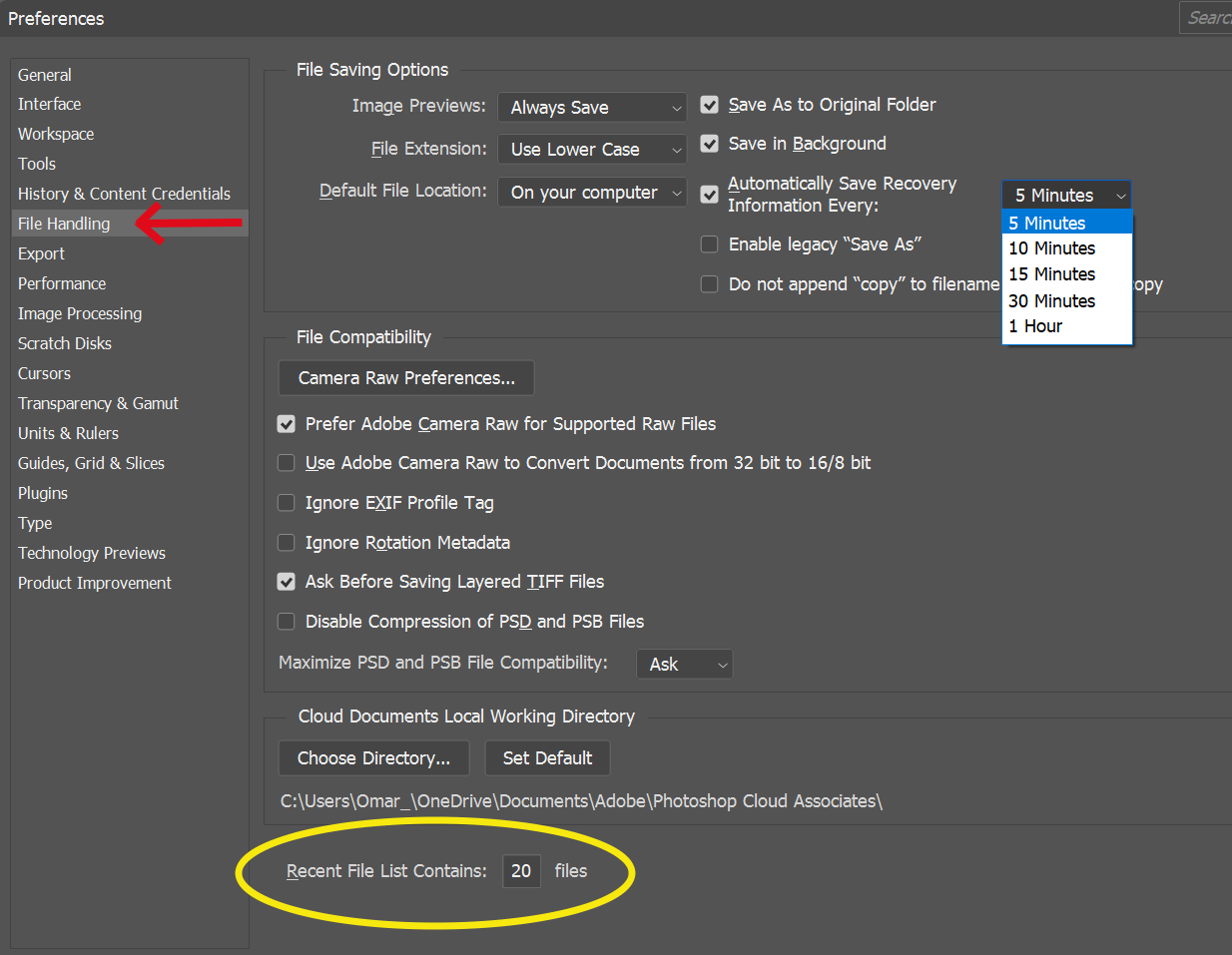 11 Recent Files