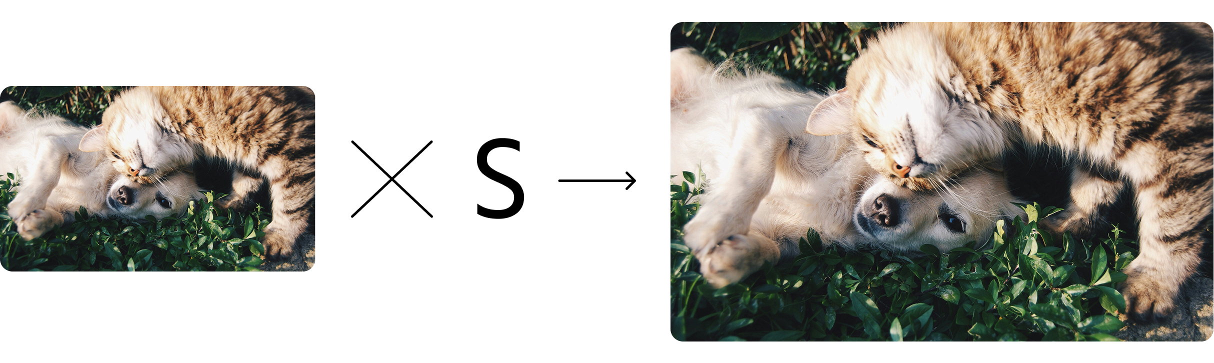 resize