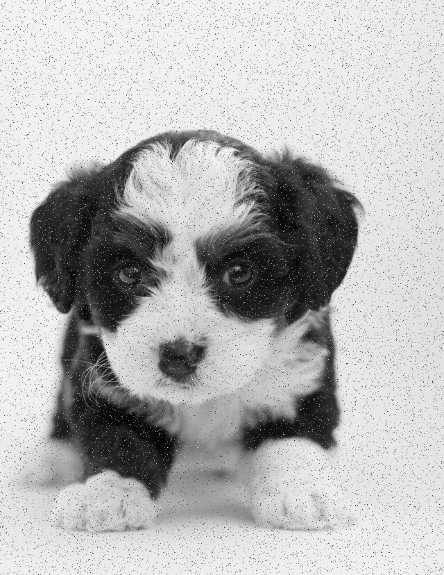 noisy puppy